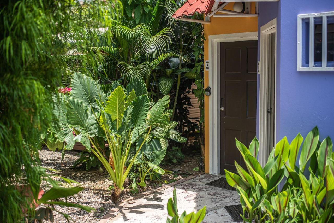 Jaco Lodge Quiet Place (Adults Only) ภายนอก รูปภาพ